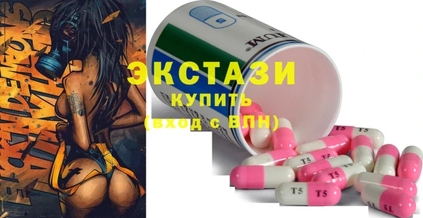 ECSTASY Бородино